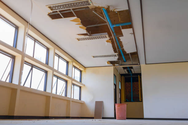 Best Carpet water damage restoration  in Wilder, ID