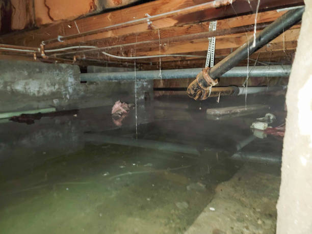 Best 24/7 water damage repair  in Wilder, ID