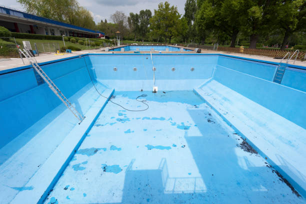 Best Mold removal after water damage  in Wilder, ID
