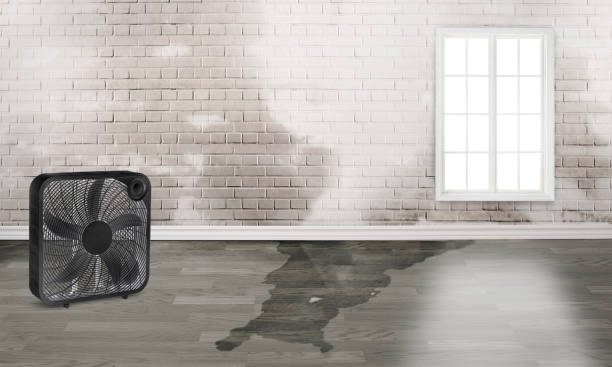 Best Emergency water damage restoration  in Wilder, ID