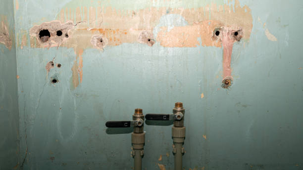 Water damage restoration mold remediation in ID
